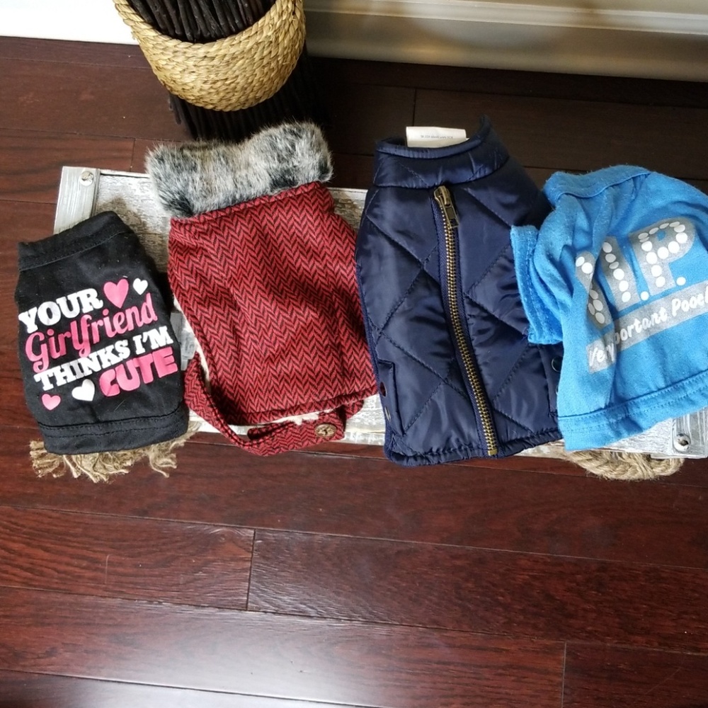 Small dog clothes